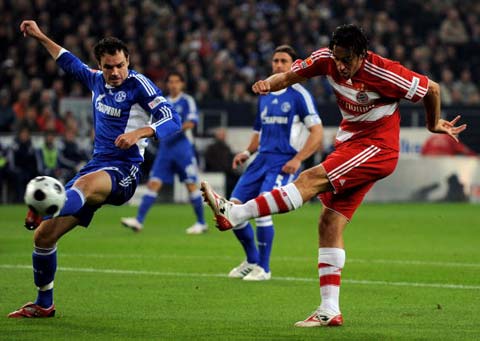 增加极化3 增加极化3